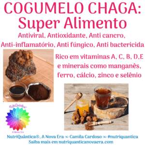 Cogumelo CHAGA, o Super Alimento “presente de Deus”! By NutriQuântica®